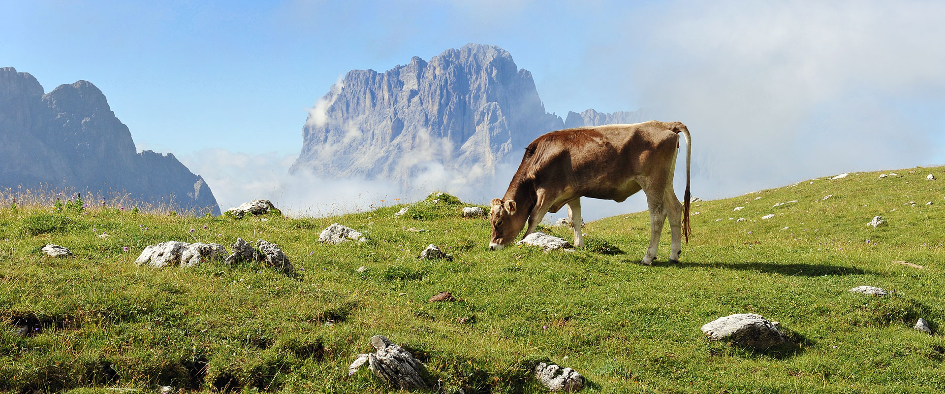 Appartamenti Rondula - Selva Val Gardena