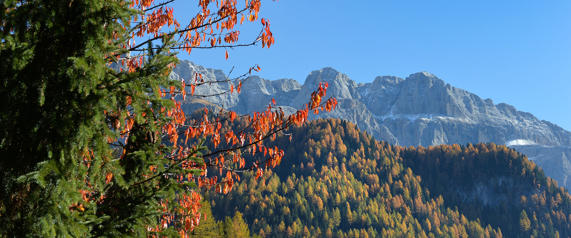 Appartamenti Rondula